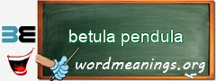 WordMeaning blackboard for betula pendula